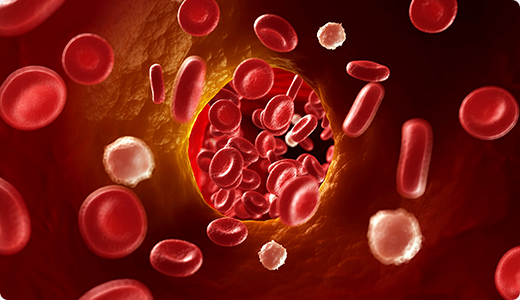 혈액 순환 개선